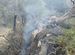 Что послужило причиной пожара в Хосровском лесу?