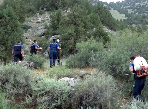 В государственном заповеднике Хосровский лес возобновились розыскные работы
