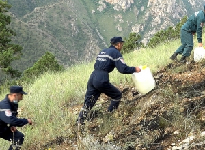 Հրշեջ-փրկարարները մարել են ընդհանուր 41.7 հա տարածքում բռնկված հրդեհները