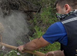 Спасатели вновь отправились в Хосровский лес