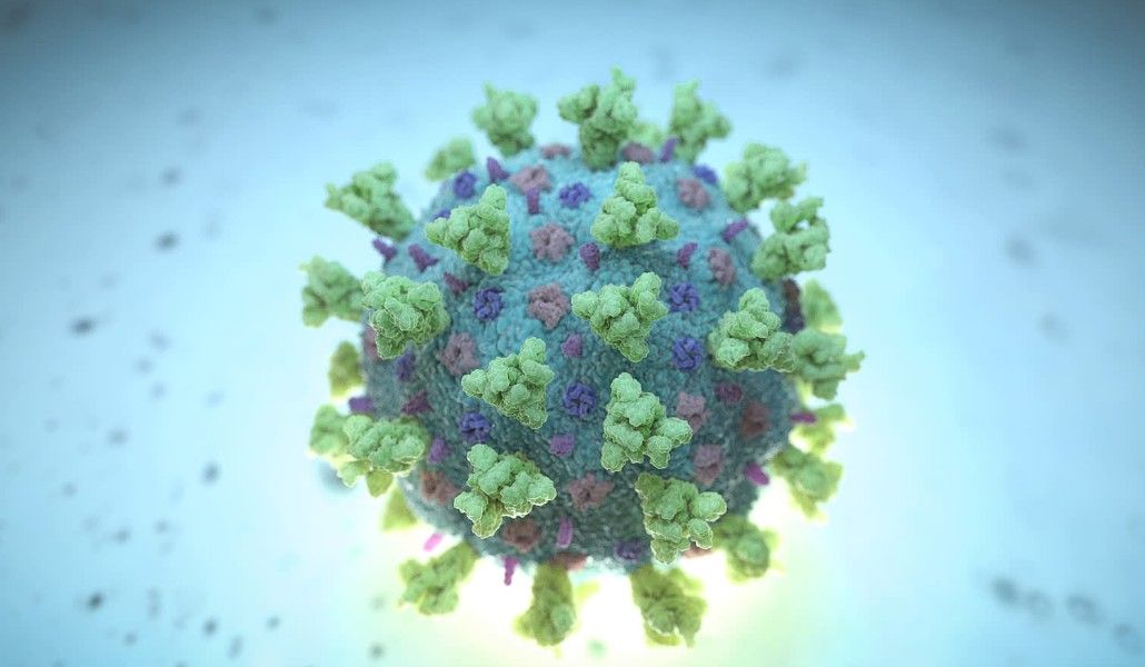 կորոնավիրուս