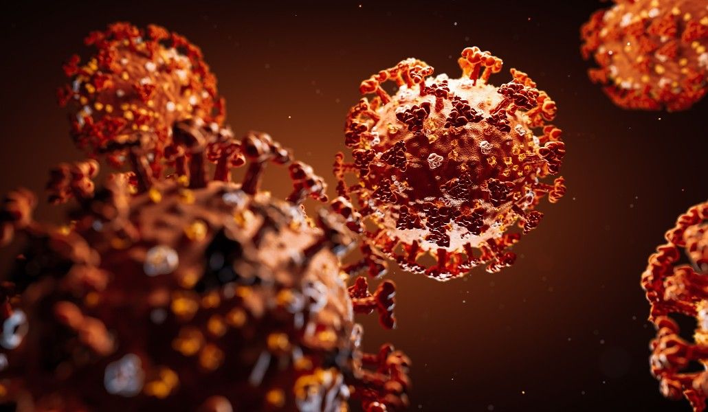 կորոնավիրուս 1