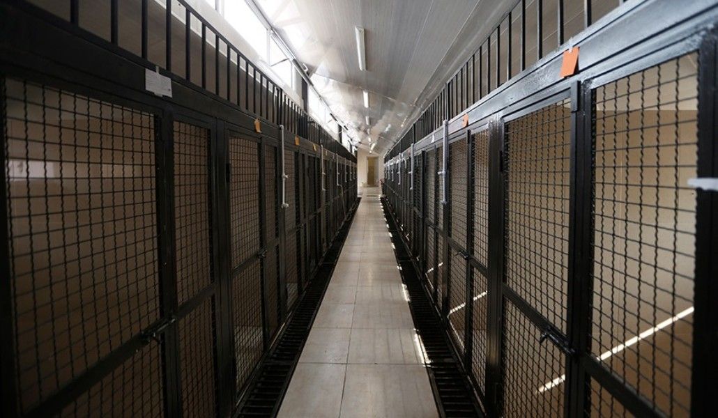 80190130_10219306590241256_3375610532789189726_n (1)