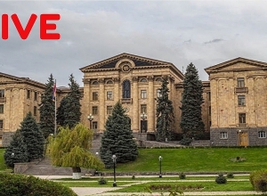 ԱԺ առողջապահության և սոցիալական հարցերի մշտական հանձնաժողովի նիստը.  ՈԻՂԻՂ