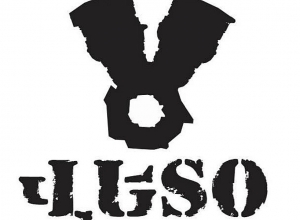 Задержаны 15 граждан: заявление «ВЕТО»