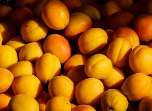 Արձանագրում եմ, որ այս պահին ծիրանի արտահանման հետ կապված խնդիրներ չունենք․ Գևորգ Պապոյան