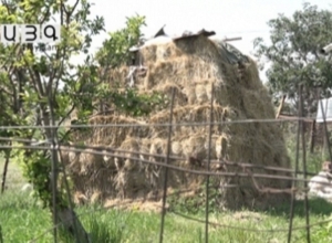 Անձրեւը խոչընդոտում է խոտհունձին․ գյուղերում այս օրերին տեխնիկան անգործ է