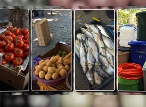 «Наша цель не в том, чтобы штрафовать»: борьба с незаконной торговлей