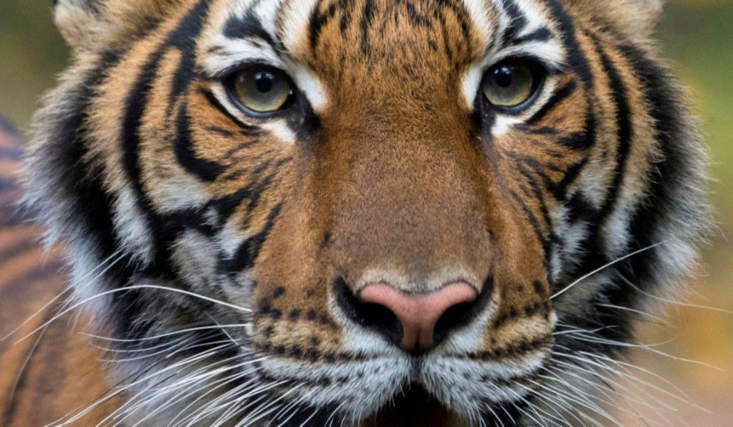 A566B8A4-FE07-437B-8D4E-B2195E3F8DEC_cx0_cy6_cw0_w1200_r1