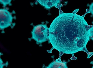 Ситуация с коронавирусным заболеванием в Армении по состоянию на сегодняшний день