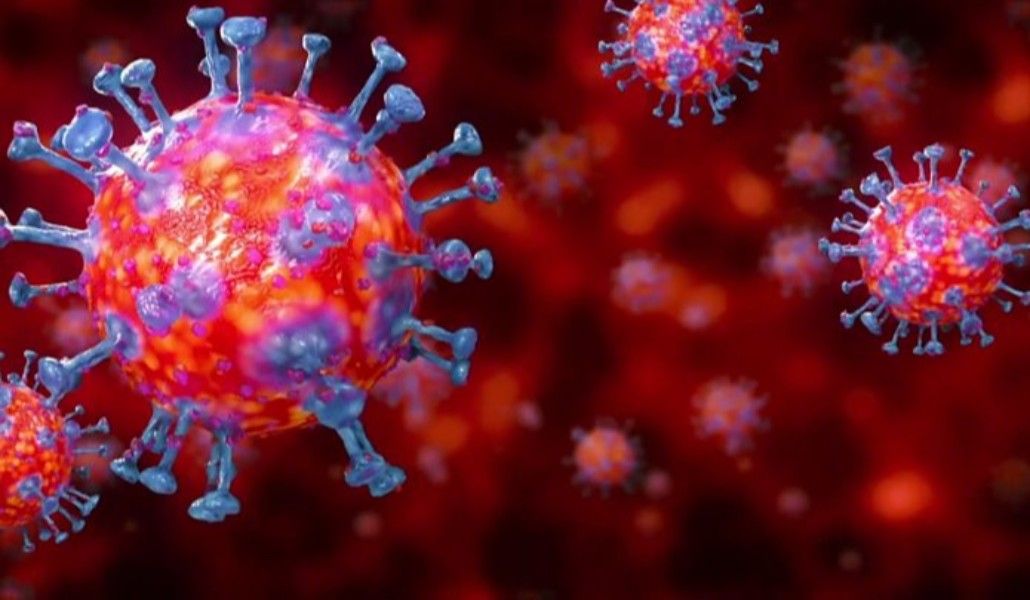 կորոնավիրուս