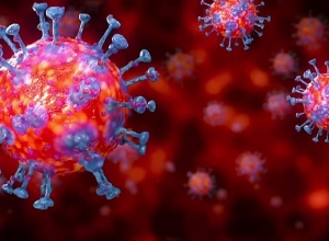 220 новых случаев, 4 смертельных исходов, ситуация с коронавирусом в Армении