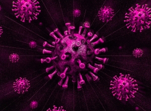 COVID 19:  510 new cases and 18 deaths