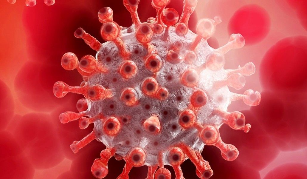 կորոնավիրուս