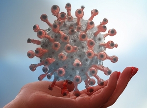 295 новых случаев коронавируса от 4319 тестирований