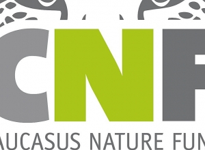 CNF предоставил государственному заповеднику «Хосровский лес» около 87 тысяч евро