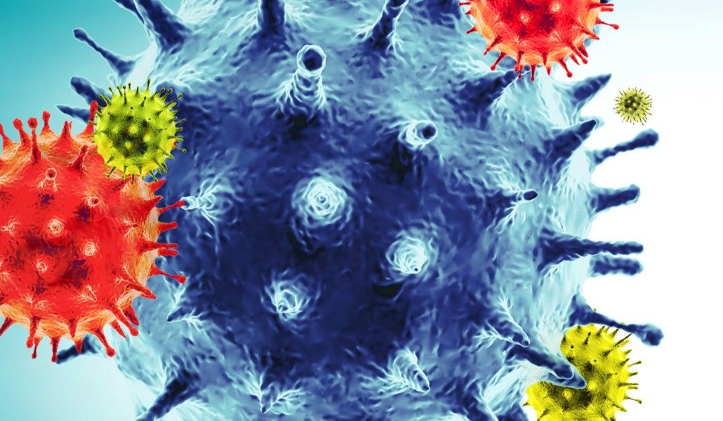 6beae57f-9418-42a7-96d4-3f444d1f482c-coronavirus_covid_cells