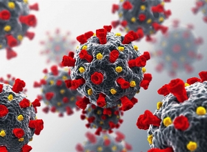 2306 new cases of coronavirus confirmed in Armenia