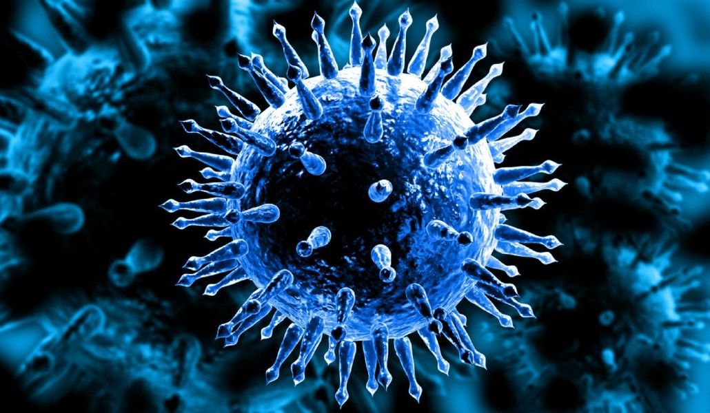 կորոնավիրուս