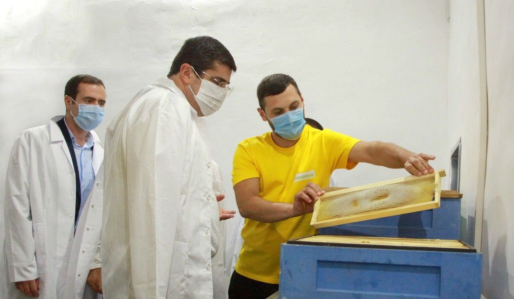 010920AycHoneyHouseGortsaran (1)