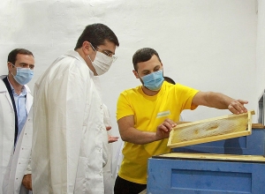 С целью развития пчеловодства в Арцахе будут реализованы новые программы