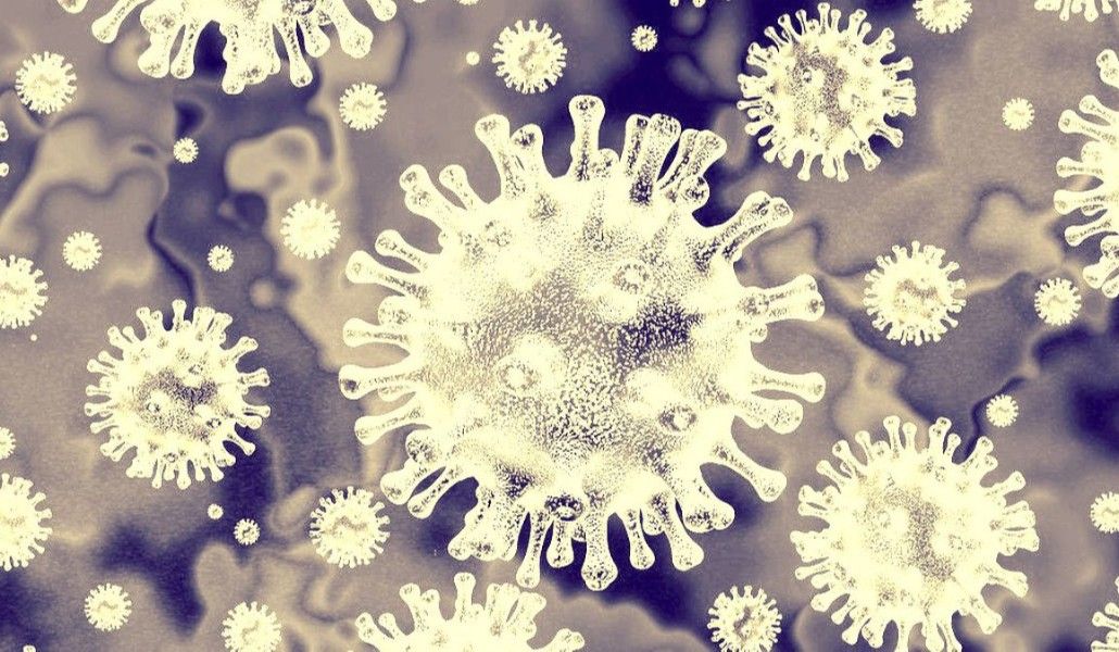 FVDJLSXQIRGY5KDS4RICC2QE7U