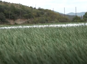 В Шнохе и Одзуне построили стадионы, в Алаверди ищут удобную территорию