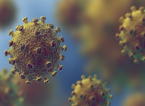 В Арцахе подтверждено 2 случая коронавирусной инфекции