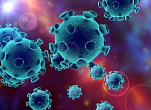 2761 тестирований, 150 новых случаев: данные на сегодня