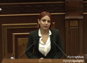 Պահանջում եմ, որպեսզի Պետրոս Ղազարյանը ներողություն խնդրի. Անի Սամսոնյան