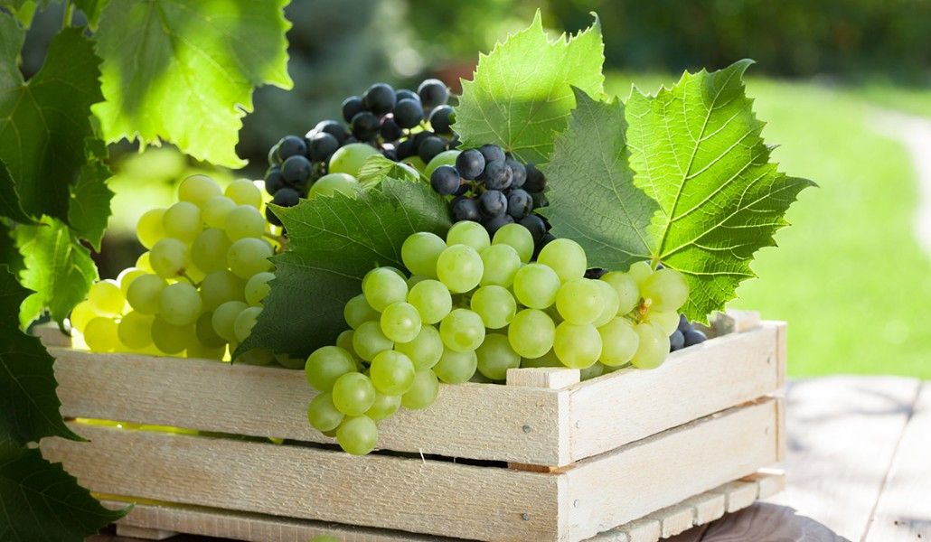 ղաղօղ