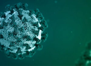 В Арцахе подтверждено 6 новых случаев коронавируса: носители инфекции – жители Степанакерта