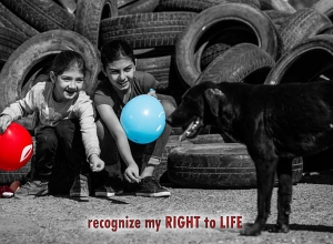 Groups of Human Rights Defender visit people from Artsakh