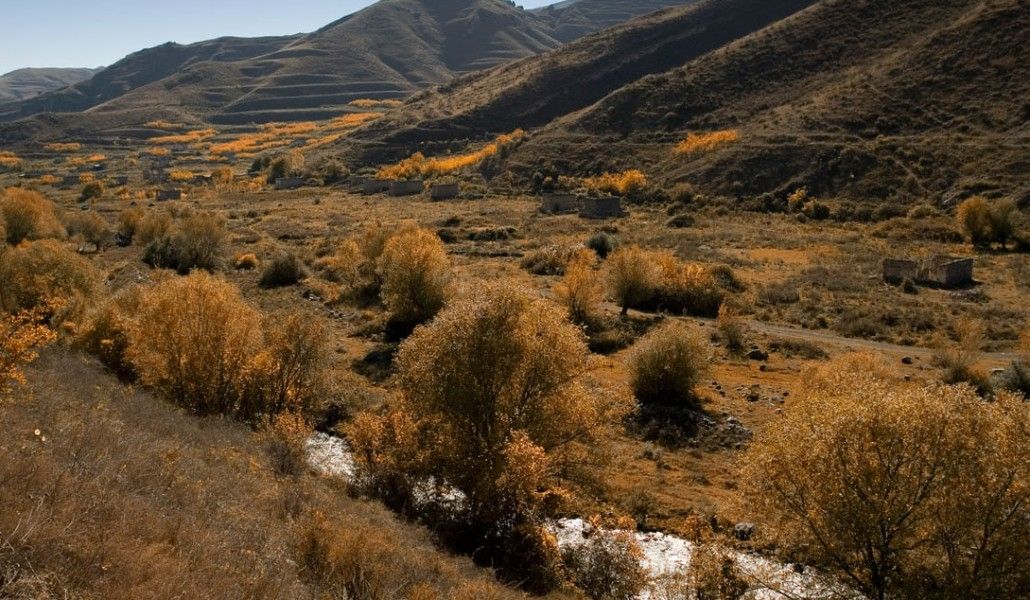 123740464_1064112354035107_5706682082088416865_o