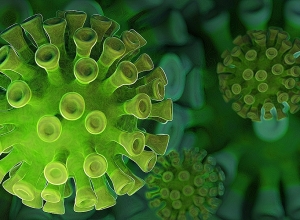 The Coronavirus-Related Situation in Armenia