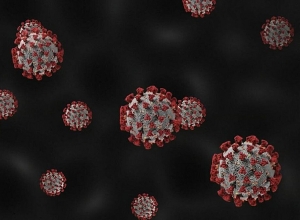 COVID 19:  13 deaths