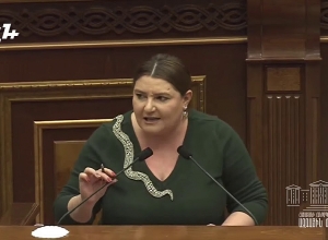 «Если Пашиняна не оштрафовали как меня, значит силовики служат спасению шкуры Пашиняна»