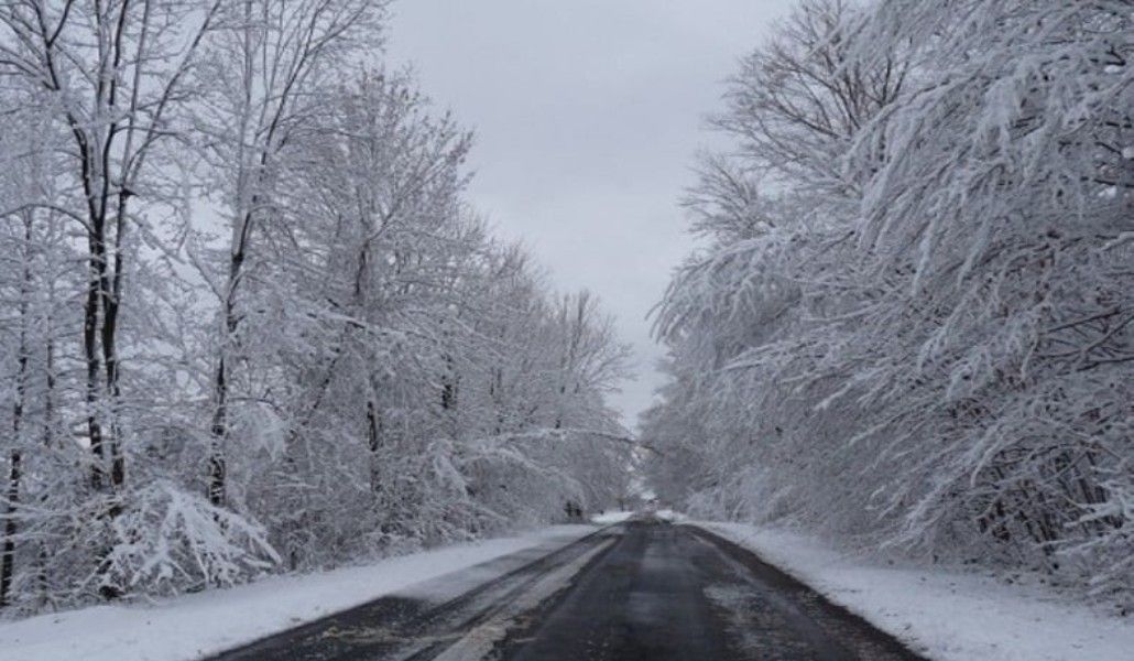 128641375_3908383582529421_110635850595902215_n