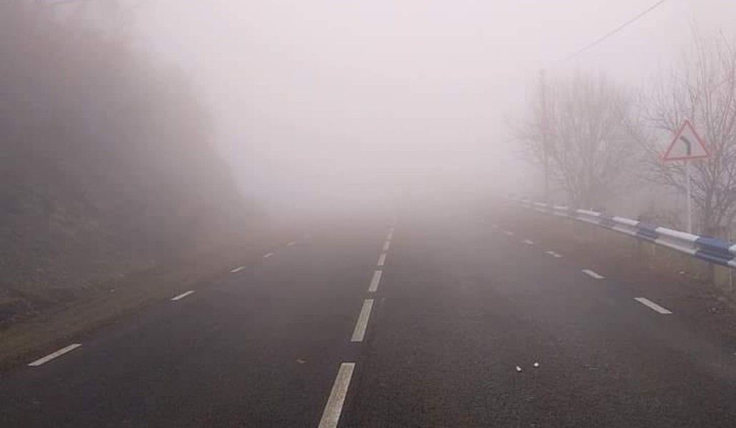 128801581_1631919886981077_3662804514452878694_n