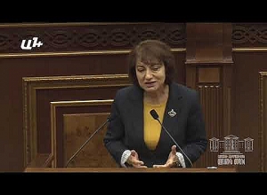Выступление Нарине Дилбарян в НС