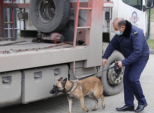 Ծառայողական շները սեպտեմբերից հսկում են Բագրատաշենի անցակետով բեռնատարների հոսքը