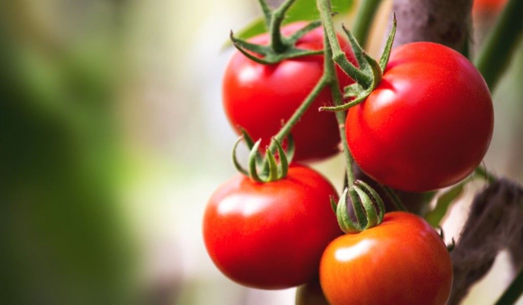 22F44057-C339-41E8-920E-BD8702E15C2F_w1200_r1