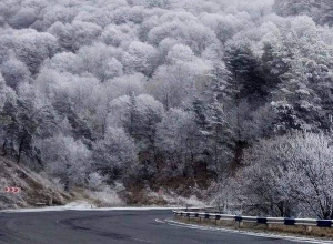 В Апаране и в Арагаце Арагацотнской области идет снег