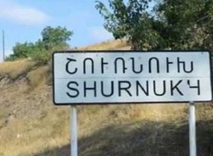 По сообщению СНБ, на участке Шурнуха инцидентов не зарегистрировано, ситуация полностью под контролем