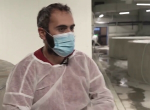 Производит около 250 тонн рыбы в год: часть выпускают в озеро, некоторые - на рынок сбыта