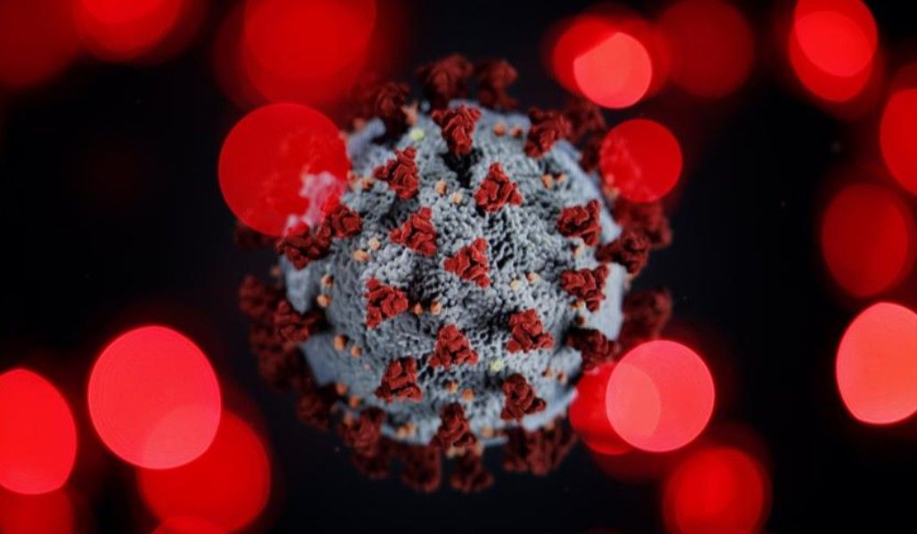 կորոնավիրուս