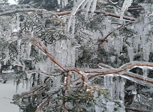 Ожидаются обильные снегопады, в отдельных местах - метели