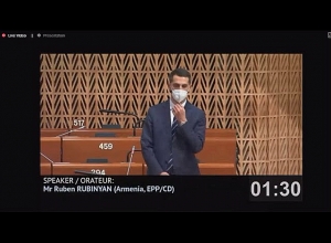 Рубинян призвал ПАСЕ быть за Справедливость