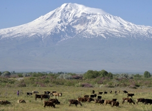 FAO предоставит экстренную помощь армянам, пострадавшим в результате карабахского конфликта