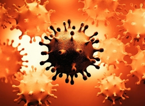 Ситуация с коронавирусом